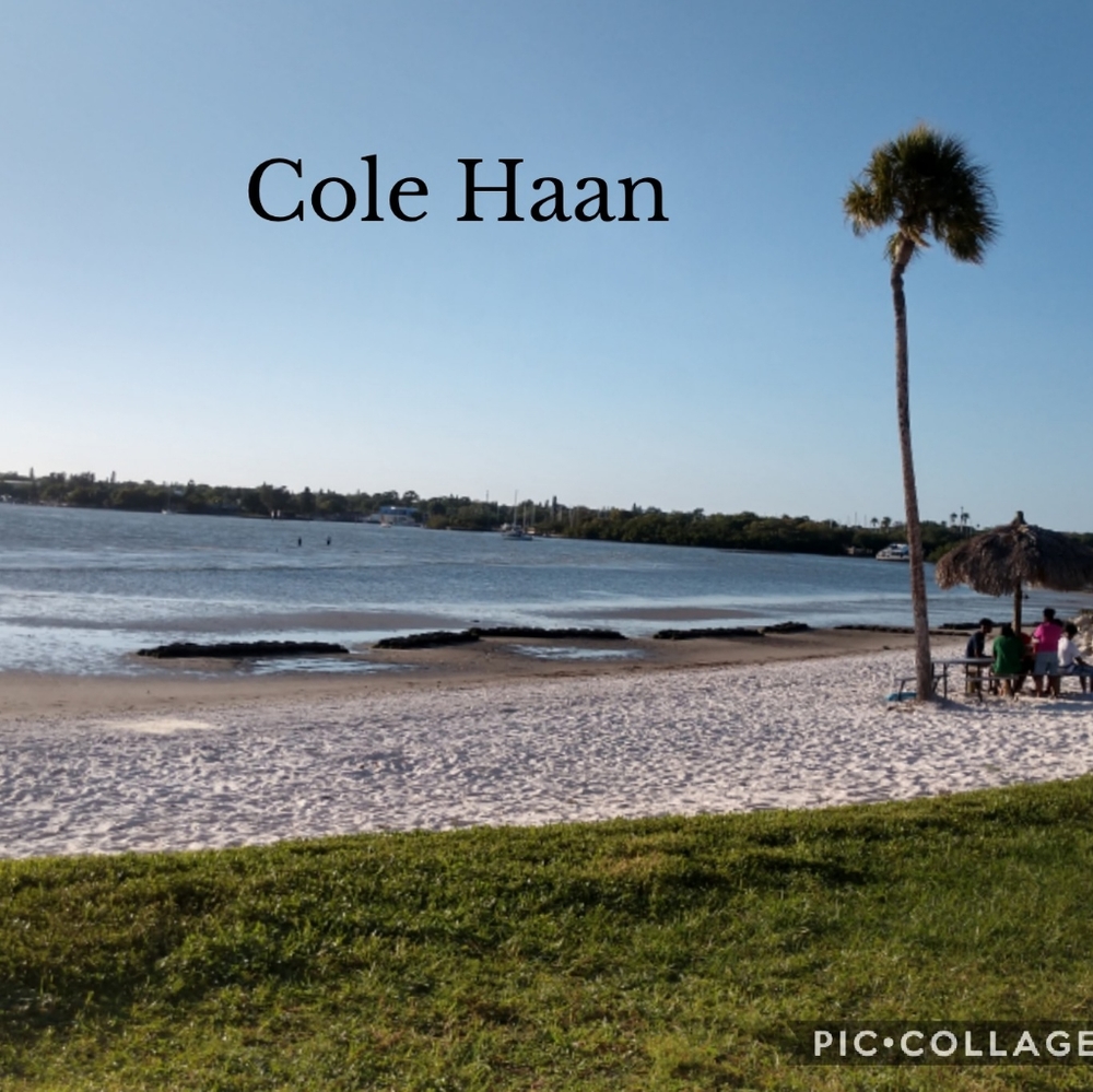 COLE HAAN Designer LEATHER Goods